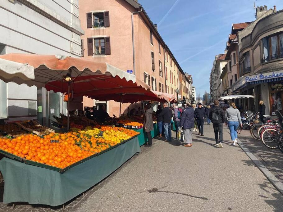 Quai Des Cordeliers, Balcon Et Vieille Ville Анси Экстерьер фото